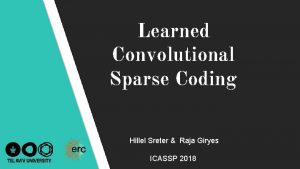 Learned Convolutional Sparse Coding Hillel Sreter Raja Giryes