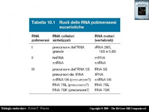 Biologia molecolare Robert F Weaver Copyright 2005 The