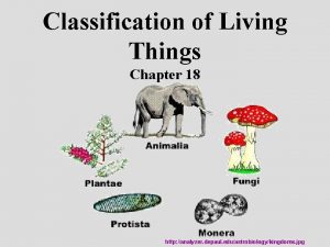Classification of Living Things Chapter 18 http analyzer