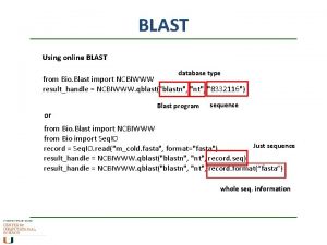 BLAST Using online BLAST database type from Bio