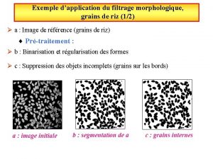 Exemple dapplication du filtrage morphologique grains de riz