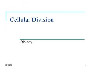 Cellular Division Biology 12162021 1 Cellular Division n