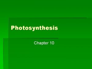 Photosynthesis Chapter 10 What is photosynthesis Photosynthesis transforms