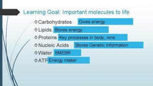 Learning Goal Important molecules to life Carbohydrates Gives