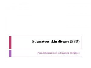 Edematous skin disease ESD Pseudotuberculosis in Egyptian buffaloes