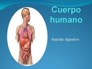 Cuerpo humano Aparato digestivo Cuerpo humano El cuerpo