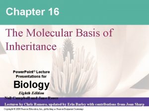 Chapter 16 The Molecular Basis of Inheritance Power