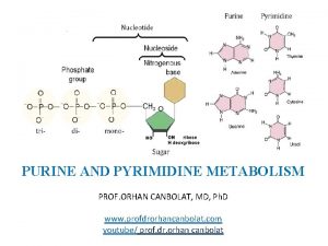 PURINE AND PYRIMIDINE METABOLISM PROF ORHAN CANBOLAT MD