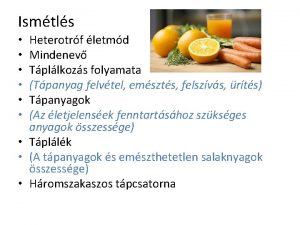 Ismtls Heterotrf letmd Mindenev Tpllkozs folyamata Tpanyag felvtel