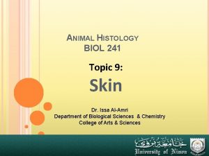 ANIMAL HISTOLOGY BIOL 241 Topic 9 Skin Dr