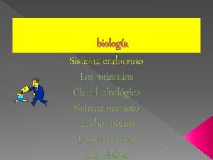 biologa Sistema endocrino Los msculos Ciclo hidrolgico Sistema