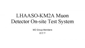 LHAASOKM 2 A Muon Detector Onsite Test System