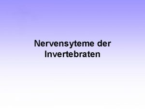 Nervensyteme der Invertebraten Inhalt Allgemeines zu Invertebraten Nervensystemen