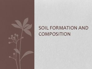 SOIL FORMATION AND COMPOSITION Soil Formation Soil forms