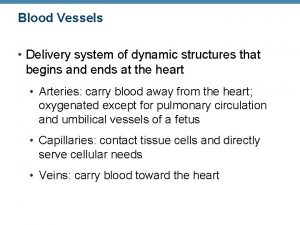 Blood Vessels Delivery system of dynamic structures that