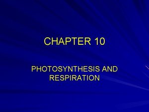 CHAPTER 10 PHOTOSYNTHESIS AND RESPIRATION PHOTOSYNTHESIS photo light