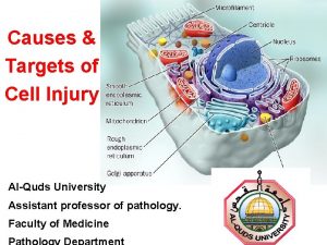 Causes Targets of Cell Injury AlQuds University Assistant