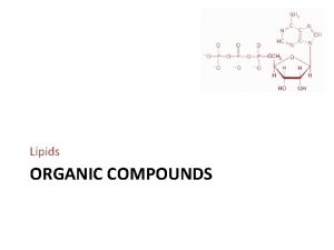 Lipids ORGANIC COMPOUNDS Lipids Include fatty acids triglycerides