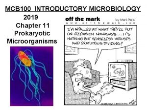 MCB 100 INTRODUCTORY MICROBIOLOGY 2019 Chapter 11 Prokaryotic