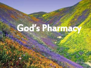 Gods Pharmacy Its been said that God first