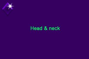 Head neck Muscles of head Facial muscles muscles