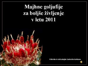 Majhne goljufije za bolje ivljenje v letu 2011