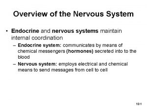 Overview of the Nervous System Endocrine and nervous
