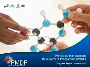 Principals Management Development Programme PMDP Progress Report January