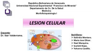 Repblica Bolivariana de Venezuela Universidad Nacional Experimental Francisco