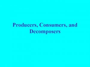 Producers Consumers and Decomposers www chappyspowerorganics com mycinnoc