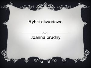 Rybki akwariowe Joanna brudny bojowniki Bojownik wspaniay bojownik