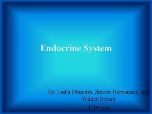 Endocrine System By Nadia Bhuyain Steven Hernandez and