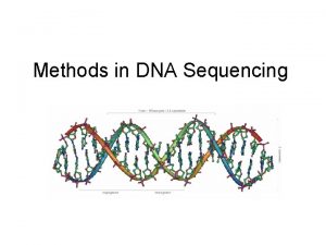 Methods in DNA Sequencing Big Picture Largescale sequencing