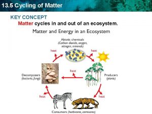 13 5 Cycling of Matter KEY CONCEPT Matter