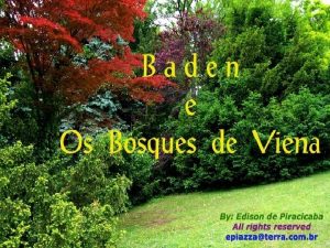 Baden pequena e graciosa localizada ao sul de