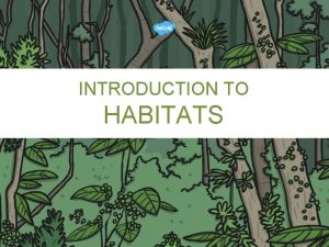 INTRODUCTION TO HABITATS A habitat is a place