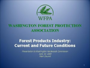 WASHINGTON FOREST PROTECTION ASSOCIATION Forest Products Industry Current