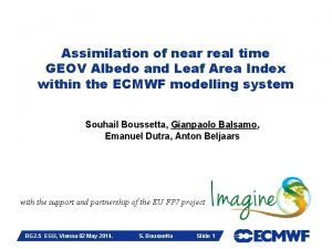 Assimilation of near real time GEOV Albedo and