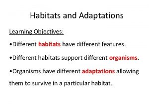 Habitats and Adaptations Learning Objectives Different habitats have