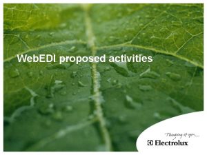 Web EDI proposed activities Web Edi Pilot Overview