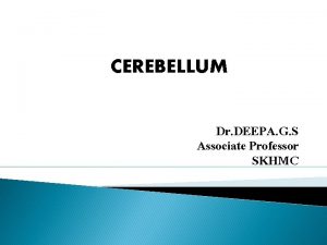 CEREBELLUM Dr DEEPA G S Associate Professor SKHMC