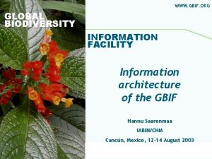 WWW GBIF ORG GLOBAL BIODIVERSITY INFORMATION FACILITY Information