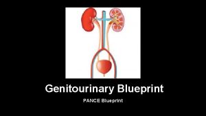 Genitourinary Blueprint PANCE Blueprint GU Tract Conditions Benign