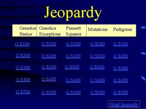 Jeopardy Genetics Basics Exceptions Punnett Squares Mutations Pedigrees