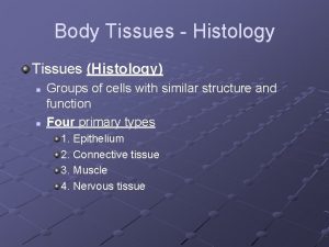 Body Tissues Histology Tissues Histology n n Groups