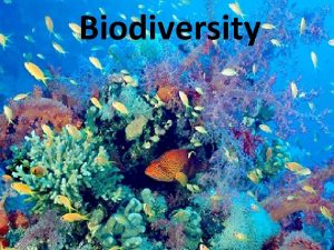 Biodiversity With your group Answer the following question