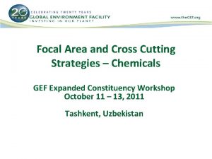 Focal Area and Cross Cutting Strategies Chemicals GEF