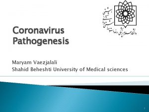 Coronavirus Pathogenesis Maryam Vaezjalali Shahid Beheshti University of