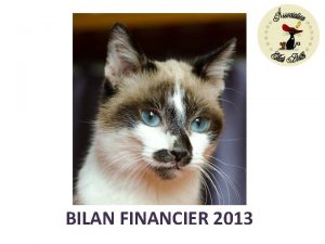 BILAN FINANCIER 2013 Quelques chiffres pour situer notre