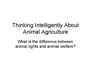 Thinking Intelligently About Animal Agriculture What is the